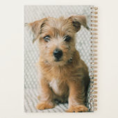 Kutest Baby Animals | Norfolk Terrier Puppy Planner (Achterkant)