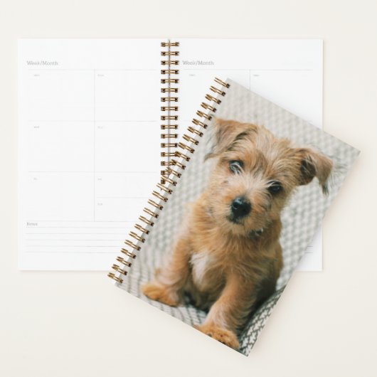 Kutest Baby Animals | Norfolk Terrier Puppy Planner (Display)