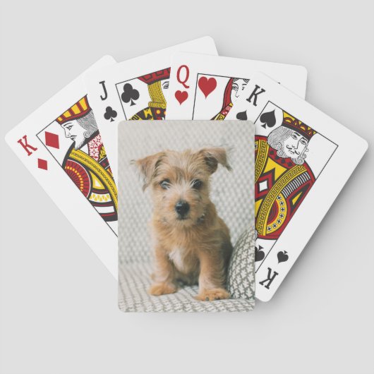 Kutest Baby Animals | Norfolk Terrier Puppy Pokerkaarten (Achterkant)