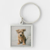 Kutest Baby Animals | Norfolk Terrier Puppy Sleutelhanger (Voorkant)