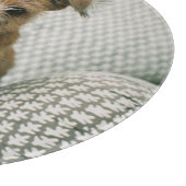 Kutest Baby Animals | Norfolk Terrier Puppy Snijplank (Hoek)