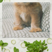 Kutest Baby Animals | Norfolk Terrier Puppy Theedoek (Gevouwen)