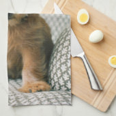 Kutest Baby Animals | Norfolk Terrier Puppy Theedoek (Quarter Fold)