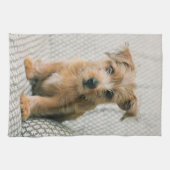 Kutest Baby Animals | Norfolk Terrier Puppy Theedoek (Horizontaal)