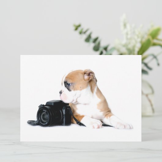 Kutest Baby Animals | Old Tyme British Bulldog Bedankkaart (Staand voorkant)