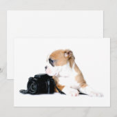 Kutest Baby Animals | Old Tyme British Bulldog Bedankkaart (Voorkant / Achterkant)