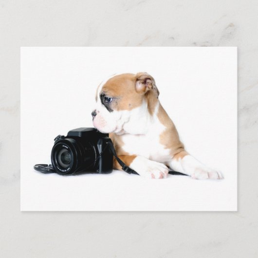 Kutest Baby Animals | Old Tyme British Bulldog Briefkaart (Voorkant)