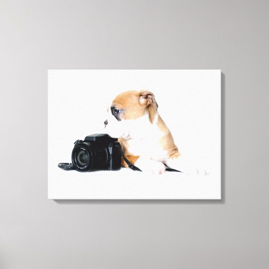 Kutest Baby Animals | Old Tyme British Bulldog Canvas Afdruk (Voorkant)