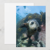 Kutest Baby Animals | Onderwater Kaapverdische zeg Bedankkaart (Voorkant / Achterkant)