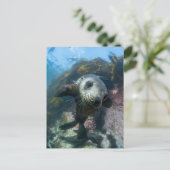 Kutest Baby Animals | Onderwater Kaapverdische zeg Briefkaart (Staand voorkant)