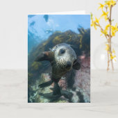 Kutest Baby Animals | Onderwater Kaapverdische zeg Kaart (Gele Bloem)