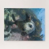 Kutest Baby Animals | Onderwater Kaapverdische zeg Legpuzzel (Horizontaal)