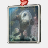 Kutest Baby Animals | Onderwater Kaapverdische zeg Metalen Ornament (Links)