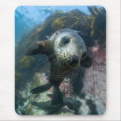 Kutest Baby Animals | Onderwater Kaapverdische zeg Muismat (Voorkant)