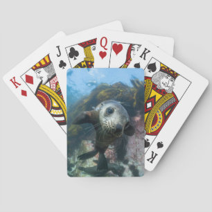Kutest Baby Animals Onderwater Kaapverdische zeg Pokerkaarten