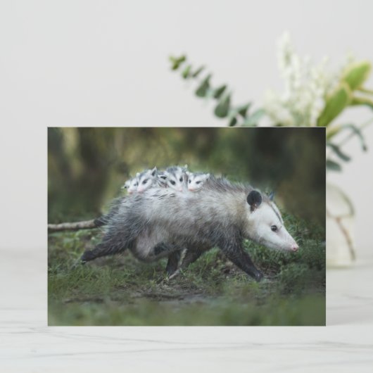 Kutest Baby Animals | Opossum mam & Kinderen Bedankkaart (Staand voorkant)