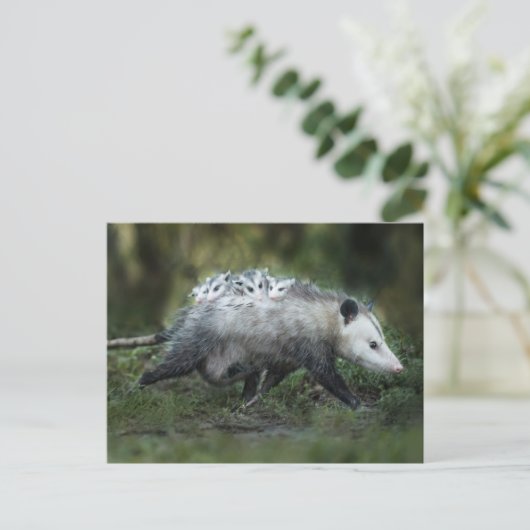 Kutest Baby Animals | Opossum mam & Kinderen Briefkaart (Staand voorkant)