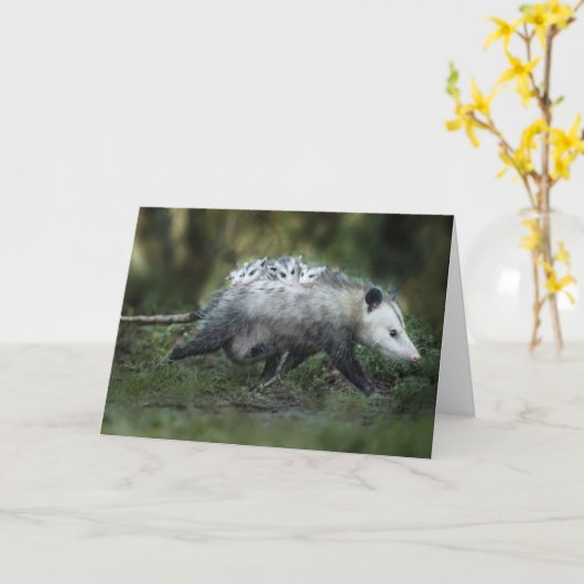 Kutest Baby Animals | Opossum mam & Kinderen Kaart (Gele Bloem)