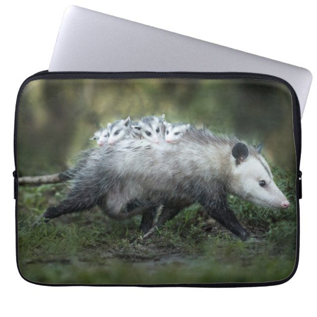 Kutest Baby Animals | Opossum mam & Kinderen Laptop Sleeve (Voorkant)