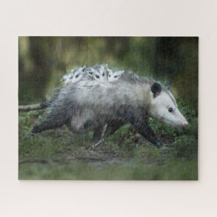 Kutest Baby Animals   Opossum mam & Kinderen Legpuzzel