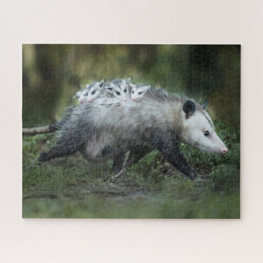 Kutest Baby Animals | Opossum mam & Kinderen Legpuzzel (Horizontaal)