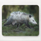 Kutest Baby Animals | Opossum mam & Kinderen Muismat (Voorkant)