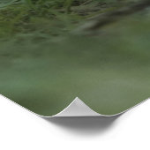 Kutest Baby Animals | Opossum mam & Kinderen Poster (Hoek)