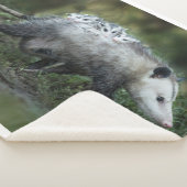 Kutest Baby Animals | Opossum mam & Kinderen Sherpa Deken (3/4)