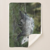Kutest Baby Animals | Opossum mam & Kinderen Sherpa Deken (Voorkant)