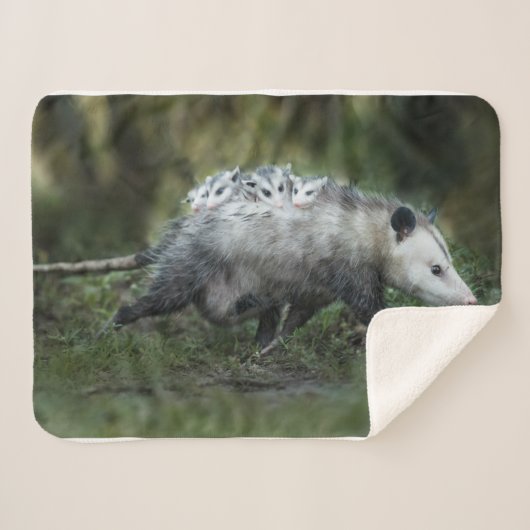 Kutest Baby Animals | Opossum mam & Kinderen Sherpa Deken (Voorkant (horizontaal))
