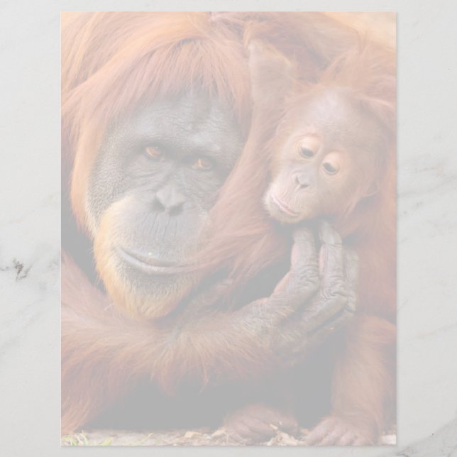 Kutest Baby Animals | Orangutan Mam & Baby (Voorkant)