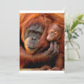 Kutest Baby Animals | Orangutan Mam & Baby Bedankkaart (Staand voorkant)
