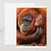 Kutest Baby Animals | Orangutan Mam & Baby Bedankkaart (Voorkant / Achterkant)