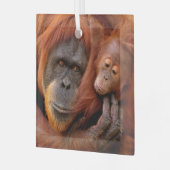 Kutest Baby Animals | Orangutan Mam & Baby Glas Ornament (Voorkant links)