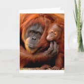 Kutest Baby Animals | Orangutan Mam & Baby Kaart (Voorkant)