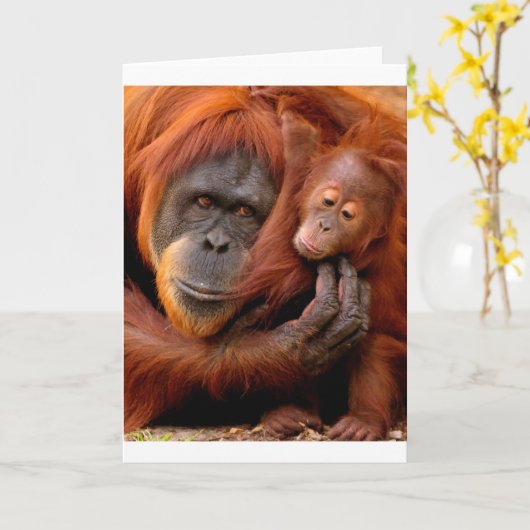 Kutest Baby Animals | Orangutan Mam & Baby Kaart (Gele Bloem)