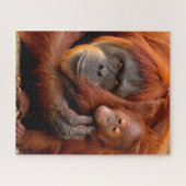 Kutest Baby Animals | Orangutan Mam & Baby Legpuzzel (Horizontaal)