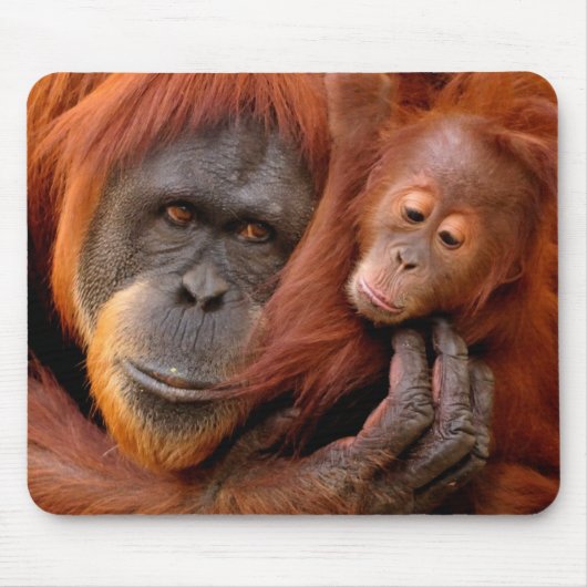 Kutest Baby Animals | Orangutan Mam & Baby Muismat (Voorkant)