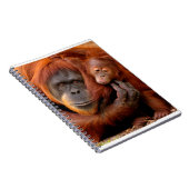 Kutest Baby Animals | Orangutan Mam & Baby Notitieboek (Rechterzijde)