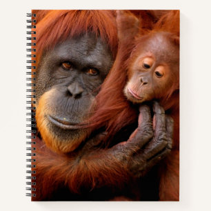 Kutest Baby Animals Orangutan Mam & Baby Notitieboek