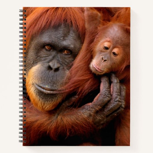 Kutest Baby Animals | Orangutan Mam & Baby Notitieboek (Voorkant)
