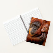 Kutest Baby Animals | Orangutan Mam & Baby Notitieboek (Binnen)