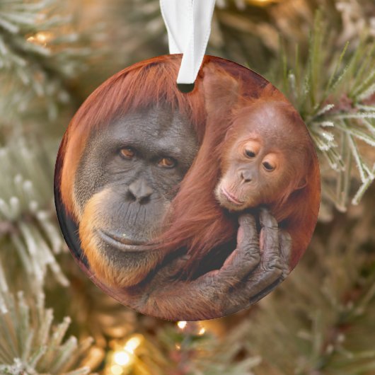 Kutest Baby Animals | Orangutan Mam & Baby Ornament (Boom)