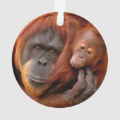 Kutest Baby Animals | Orangutan Mam & Baby Ornament (achterkant)