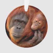 Kutest Baby Animals | Orangutan Mam & Baby Ornament (voorkant)