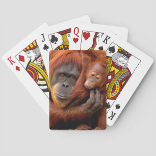Kutest Baby Animals Orangutan Mam & Baby Pokerkaarten