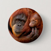 Kutest Baby Animals | Orangutan Mam & Baby Ronde Button 5,7 Cm (Voorkant)