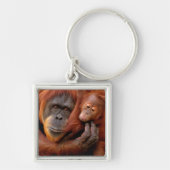 Kutest Baby Animals | Orangutan Mam & Baby Sleutelhanger (Voorkant)
