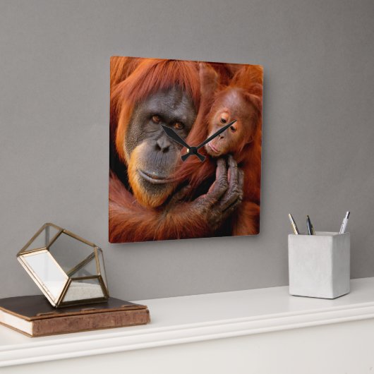 Kutest Baby Animals | Orangutan Mam & Baby Vierkante Klok (Kantoor)