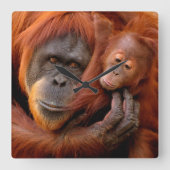 Kutest Baby Animals | Orangutan Mam & Baby Vierkante Klok (Voorkant)